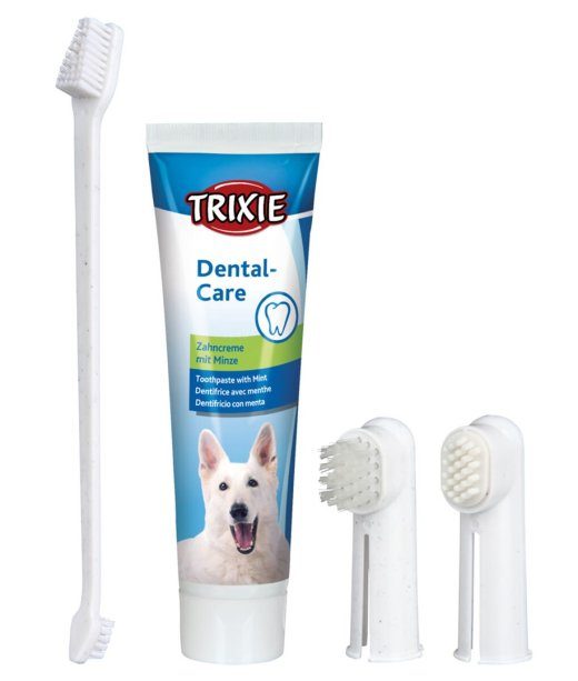 TRIXIE 2561 Lemmiklooma suuhügieeni hooldustoode
