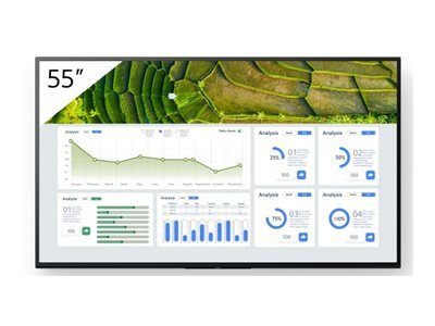 Sony Bravia Professional Display BZ30L seeria FW-55BZ30L 55" 4K UHD (2160p)