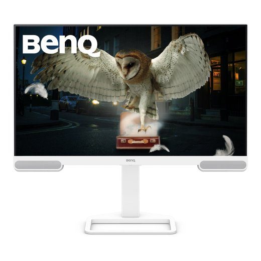 BenQ EW3290U 31.2" 3840 x 2160 4K Ultra HD LED Monitor