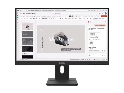 Lenovo ThinkVision E22-40 IPS Full HD VGA HDMI DisplayPort 100Hz Monitorius