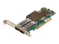 Broadcom NetXtreme E-Series P2100G PCI Express 4.0 x16 Võrgukaart