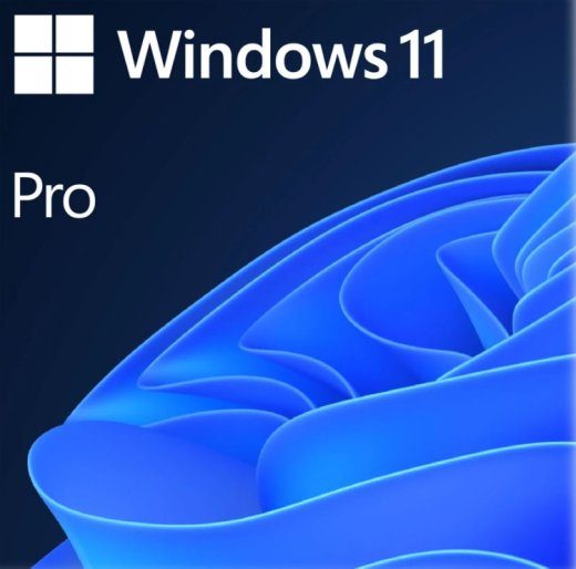 Windows 11 Pro 64-bit inglise OS DVD OEM