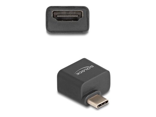 Delock juodas vaizdo adapteris