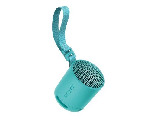 Sony SRS-XB100 garsiakalbis mėlynas