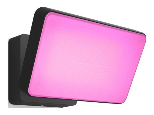 Philips Hue WCA Discover Outdoor Floodlight 2000-6500 Hue White Colour Ambiance