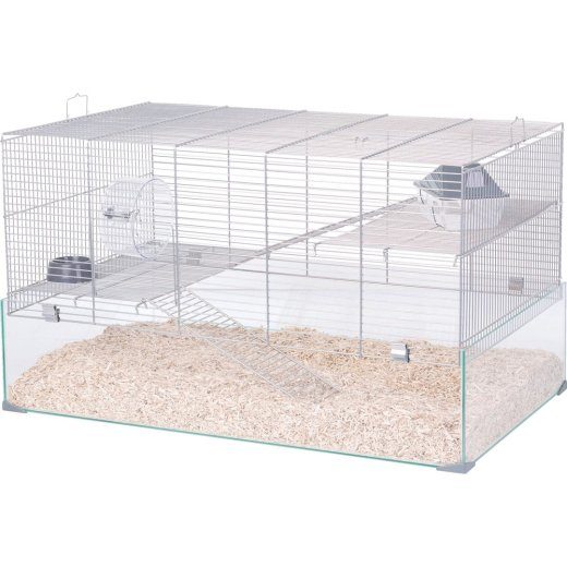 ZOLUX Neolife 80 hall - puur jerboale