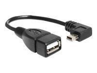 Delock 16cm USB-kaabel