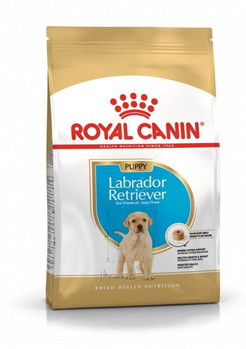 ROYAL CANIN SHN Tõu Labrador Junior kuiv koera toit - 12 kg