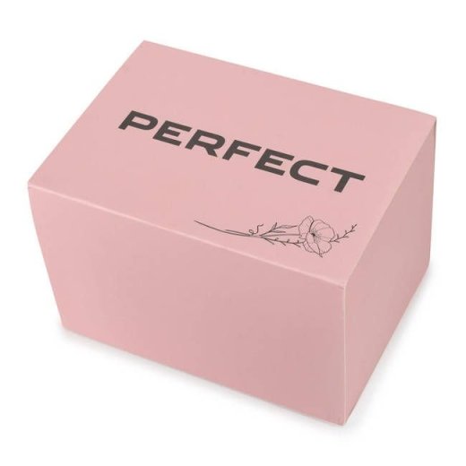 Perfect Watch Box Kaste pulkstenim /