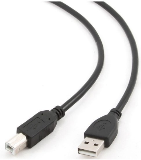 Gembird CCP-USB2-AMBM-6 USB 2.0 kabelis