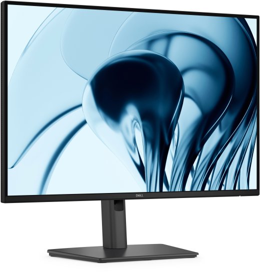 Dell Pro P 24 16:10 Monitor-
