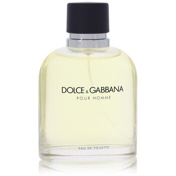 DOLCE GABBANA Pour Homme EDT Tester