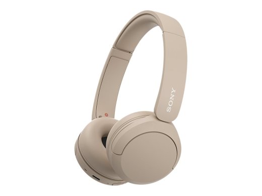80000616 SONY WH-CH520 Headphones with mic