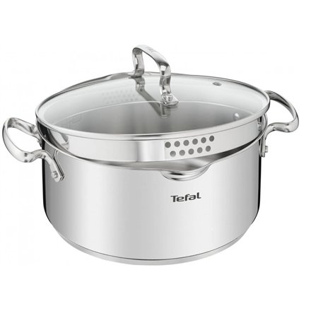 Tefal Duetto Plus Steel Pot with