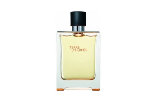 Hermes Terre D`Hermes Losjons ASW 100