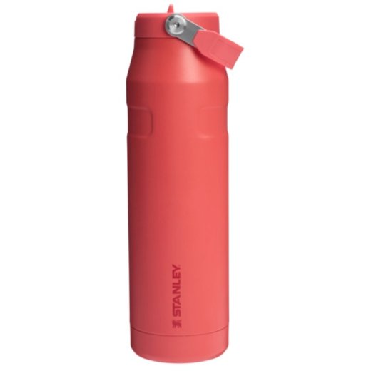 Stanley The IceFlow Bottle Flip Straw