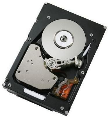 IBM 1TB 7200RPM 6GB SAS NL