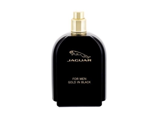 Jaguar Tualetes ūdens vīriešiem EDT 100ml