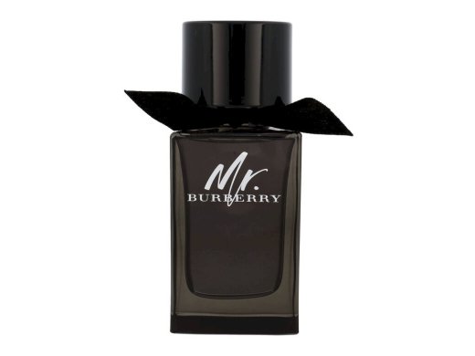 Burberry Mr. Burberry EDP 100ml