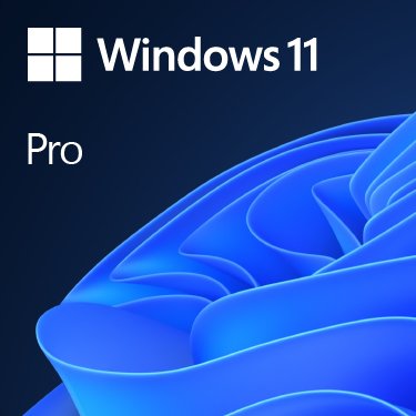 Microsoft Win 11 Pro 64Bit Eng
