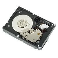 Dell HD, 2TB SAS, 7.2K