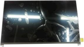 Dell ASSY LCD, Non Touch Screen