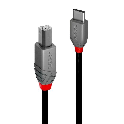 LINDY 2M Usb 2.0 Type