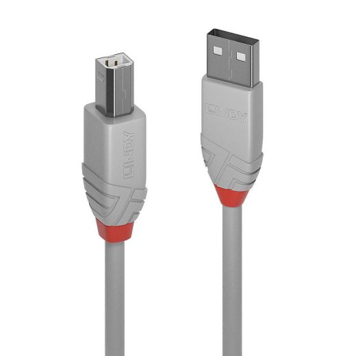 LINDY 1m USB 2.0 Type