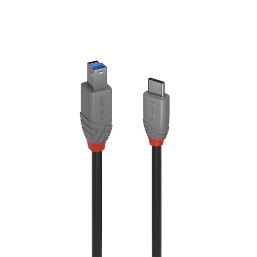 LINDY 2m USB 3.2 Type