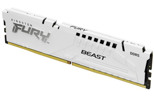 Kingston Technology Kingston FURY Beast DDR5
