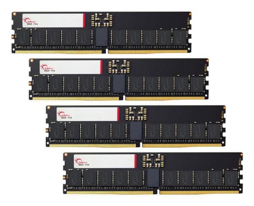 G.SKILL Q4-T5N Memory Module 256