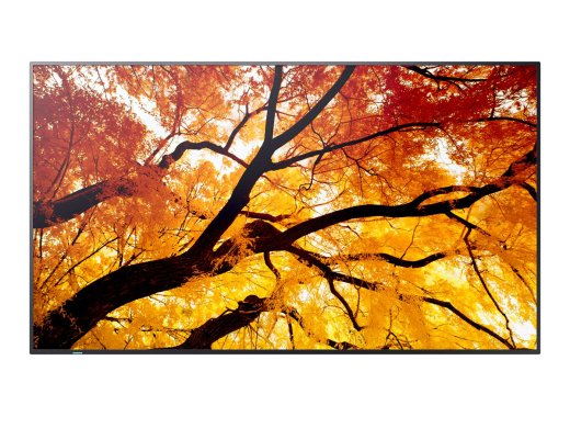 Sharp M652, 65" M-Series LFD, UHD
