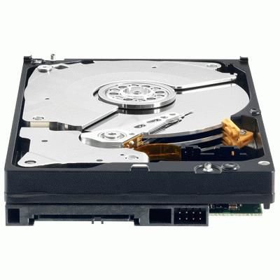 WESTERN DIGITAL 1TB Hard Drive (Sata
