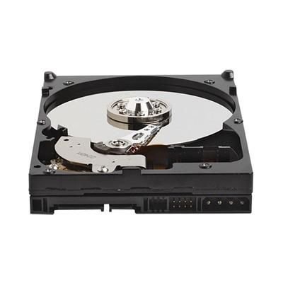 WD Caviar Blue 320GB **Refurbished**
