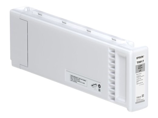 Epson Singlepack GS3 T891700 L Black