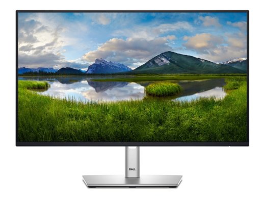 Dell P2425HE 24 " IPS 16:9
