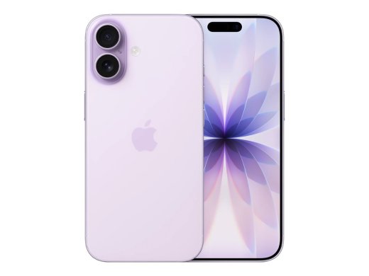 Apple iPhone 17 16 cm (6
