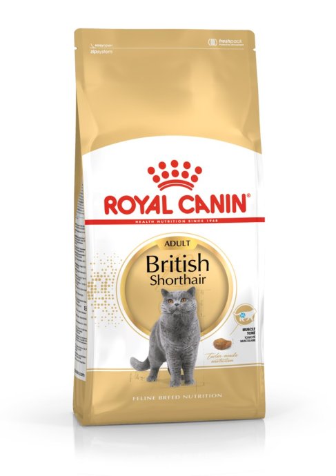 ROYAL CANIN British Shorthair - dry
