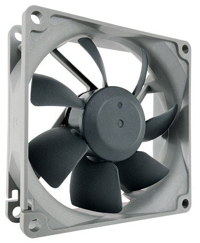 Noctua NF-R8 redux 8 cm Black