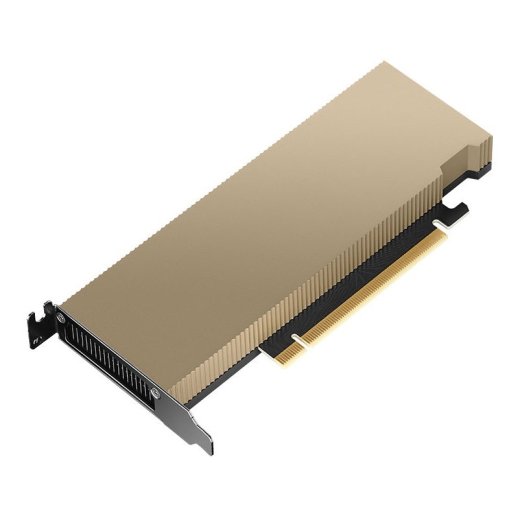 Graphics card PNY NVIDIA L4 Module