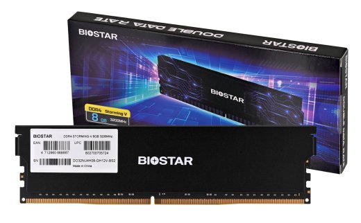 Biostar DDR4 Storming V memory module
