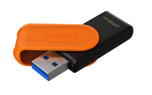 Kingston Technology DataTraveler 256GB Portable USB