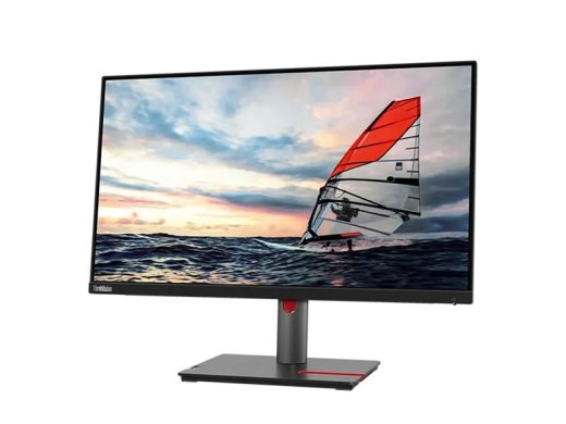 Lenovo ThinkVision P25i-30 25-inch IPS Full HD Monitor with VGA (HD-15), HDMI, DisplayPort, 100Hz