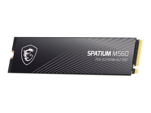 MSI SPATIUM SSD M560 2TB M