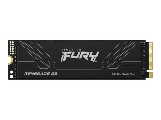 Kingston Technology Kingston FURY SSD Renegade