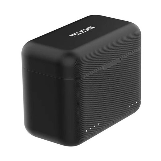 TELESIN 2-slot charger + card storage