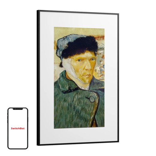 SwitchBot AI Art Frame 31.5&quot